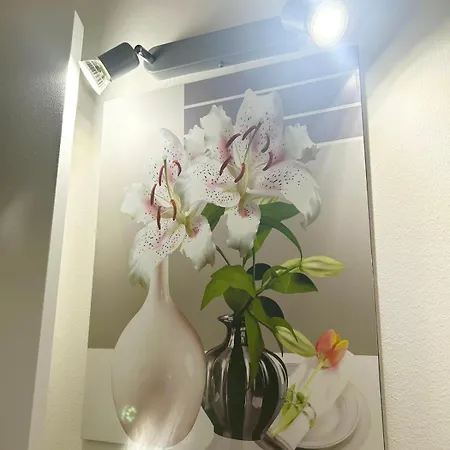 For Rent Apartment *