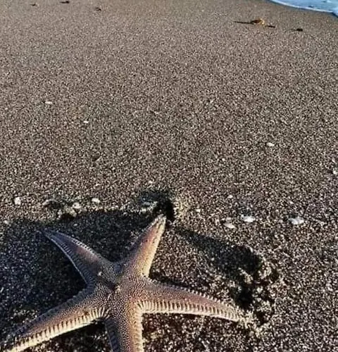 For Rent Apartmán Katánie